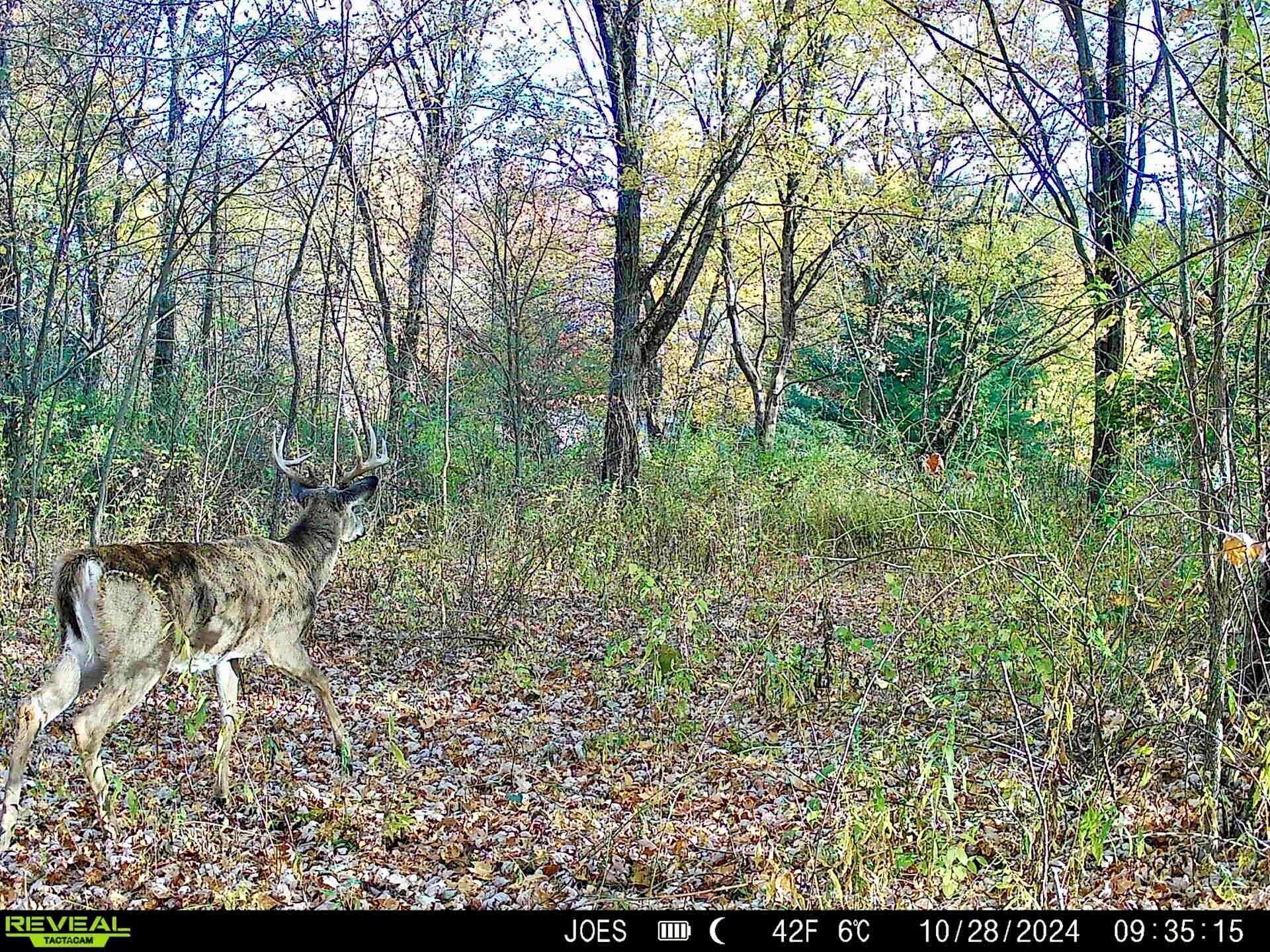 334 State Route 314 Centerburg OH 43011