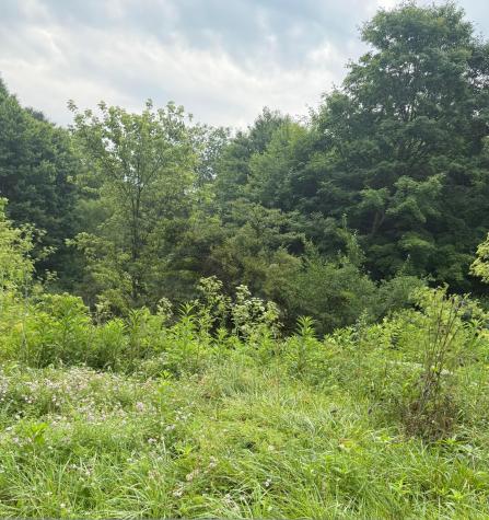 2100 Apple Valley Drive Howard OH 43028