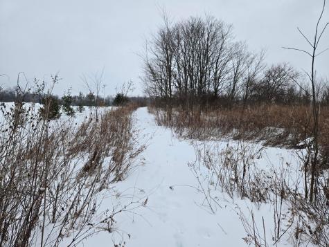 0 Sycamore Road Centerburg OH 43011