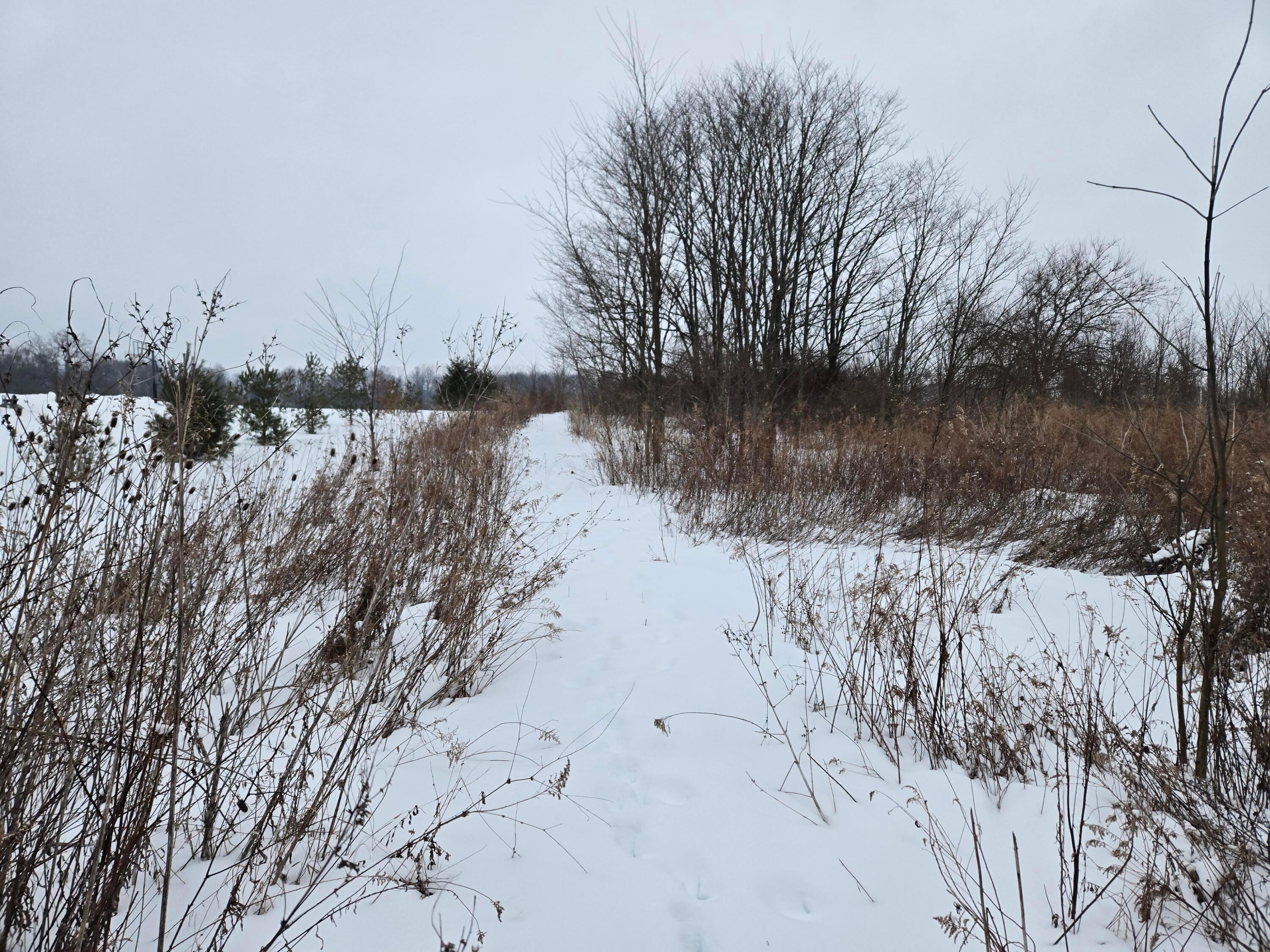 0 Sycamore Road Centerburg OH 43011