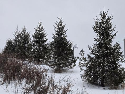 0 Sycamore Road Centerburg OH 43011