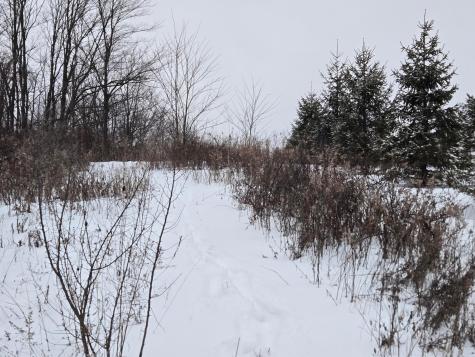 0 Sycamore Road Centerburg OH 43011