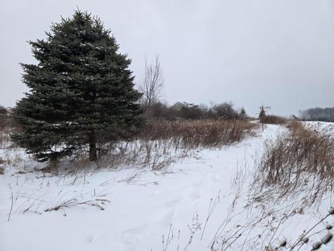 0 Sycamore Road Centerburg OH 43011