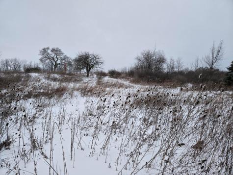 0 Sycamore Road Centerburg OH 43011