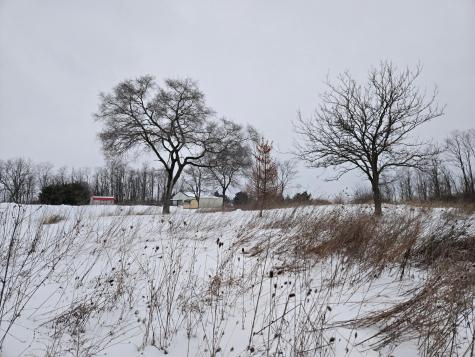 0 Sycamore Road Centerburg OH 43011