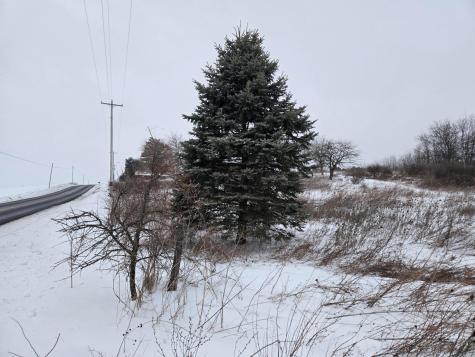 0 Sycamore Road Centerburg OH 43011