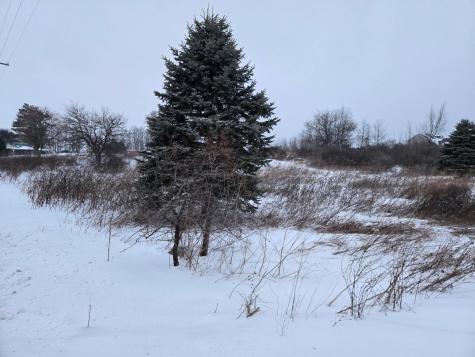 0 Sycamore Road Centerburg OH 43011