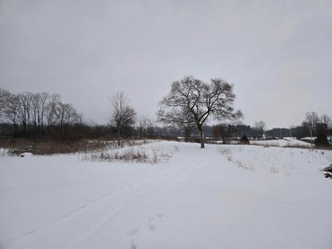 0 Sycamore Road Centerburg OH 43011