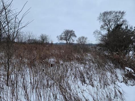 0 Sycamore Road Centerburg OH 43011