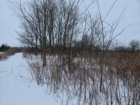 0 Sycamore Road Centerburg OH 43011