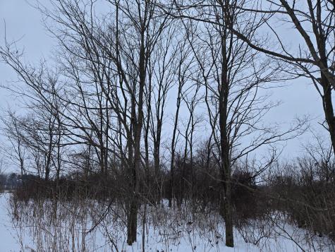 0 Sycamore Road Centerburg OH 43011