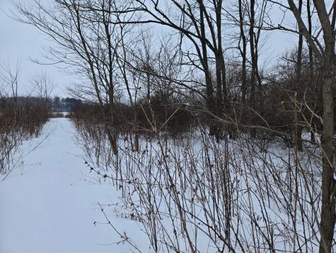 0 Sycamore Road Centerburg OH 43011