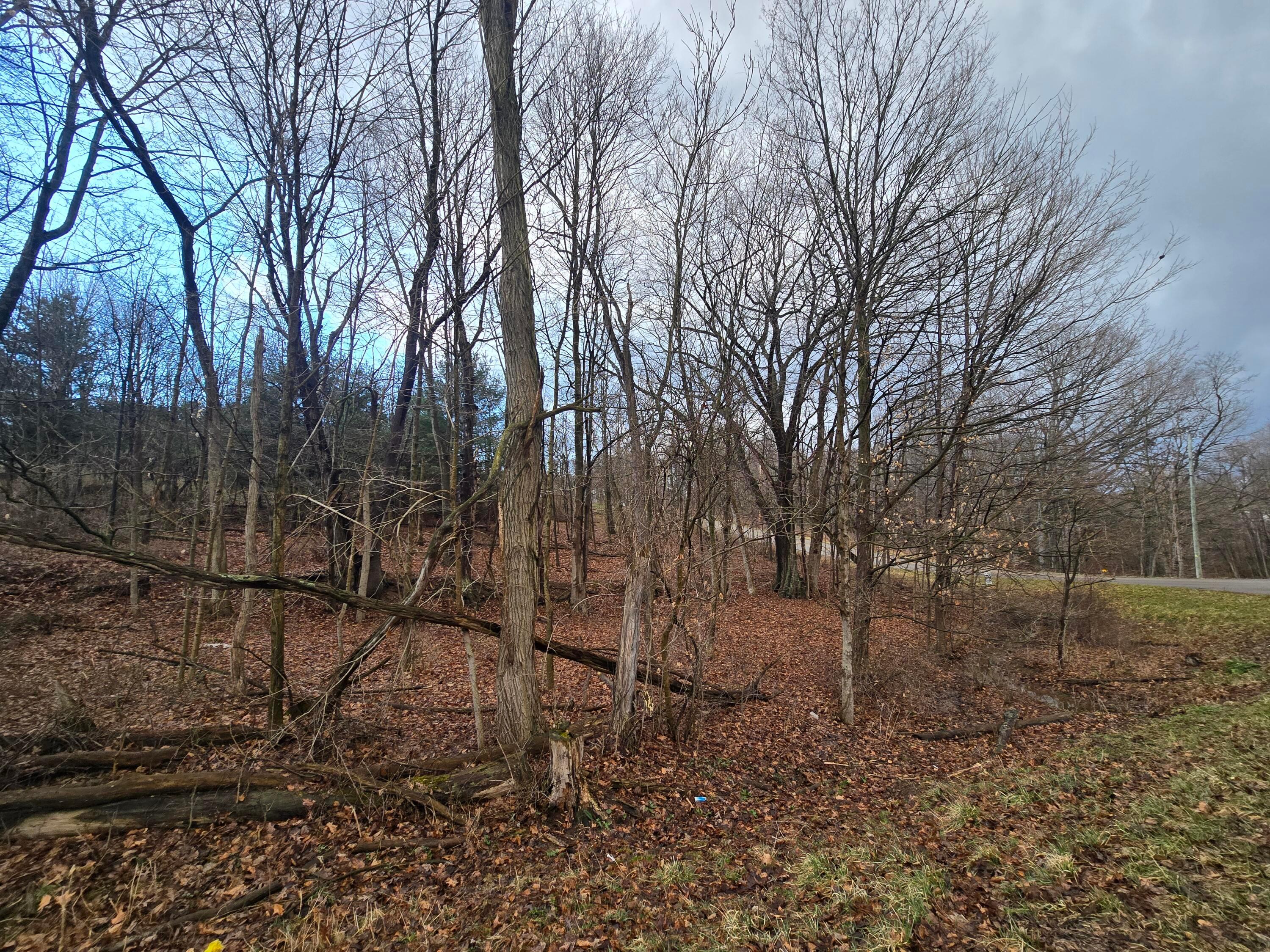 0 Apple Valley Drive Howard OH 43028