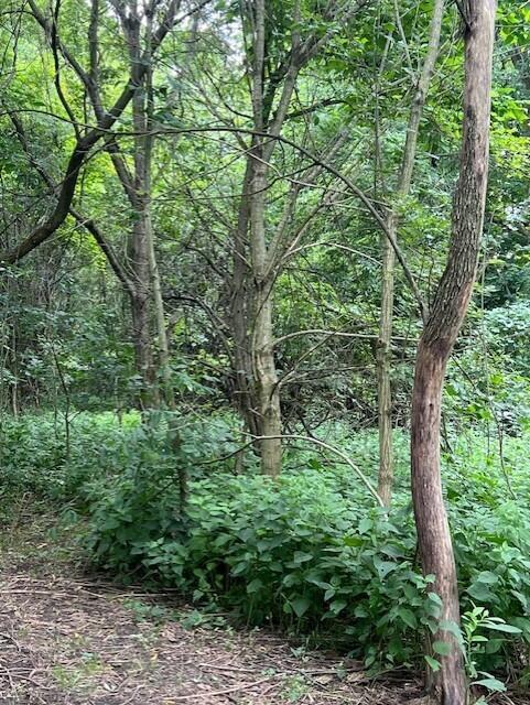 0 Ball Road Road Centerburg OH 43011