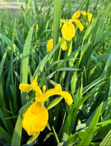 7595 Co Road 19 Fredericktown OH 43019