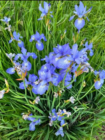 7595 Co Road 19 Fredericktown OH 43019