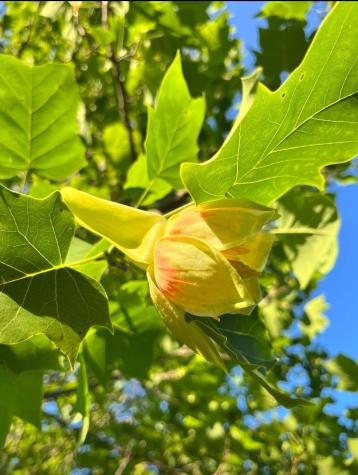 7595 Co Road 19 Fredericktown OH 43019