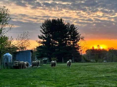 7595 Co Road 19 Fredericktown OH 43019