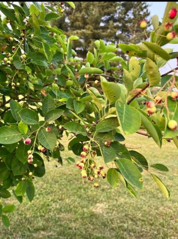 7595 Co Road 19 Fredericktown OH 43019