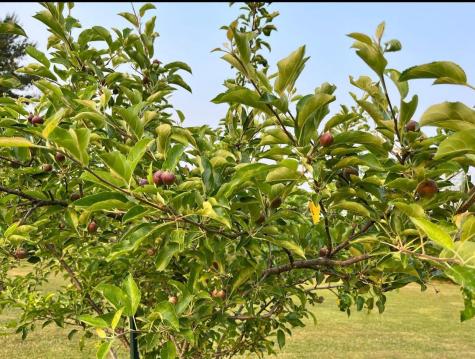 7595 Co Road 19 Fredericktown OH 43019