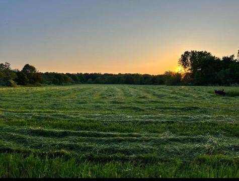 7595 Co Road 19 Fredericktown OH 43019