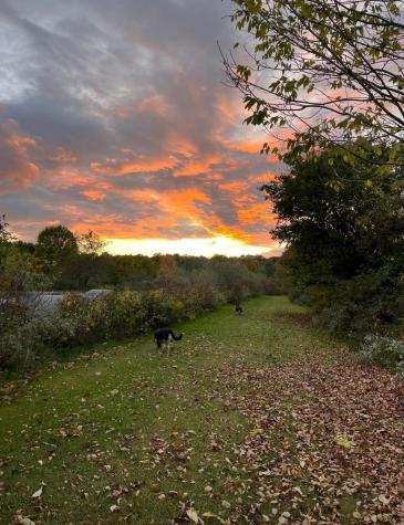 7595 Co Road 19 Fredericktown OH 43019