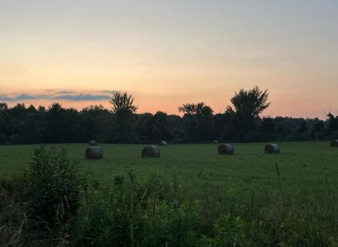 7595 Co Road 19 Fredericktown OH 43019