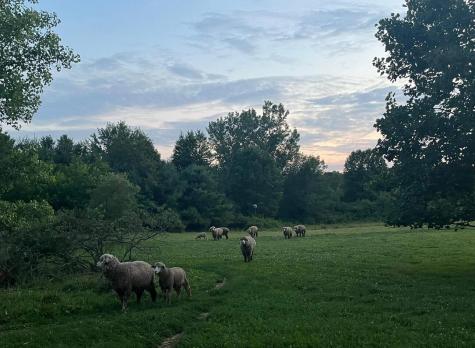 7595 Co Road 19 Fredericktown OH 43019