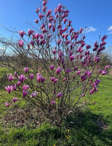 7595 Co Road 19 Fredericktown OH 43019