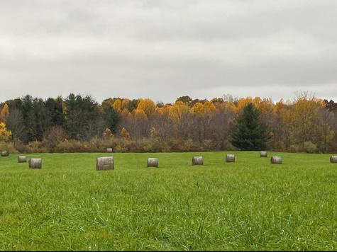 7595 Co Road 19 Fredericktown OH 43019