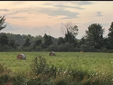 7595 Co Road 19 Fredericktown OH 43019