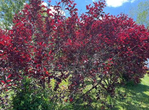 7595 Co Road 19 Fredericktown OH 43019