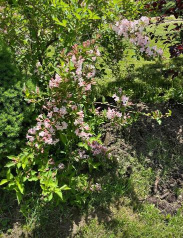 7595 Co Road 19 Fredericktown OH 43019