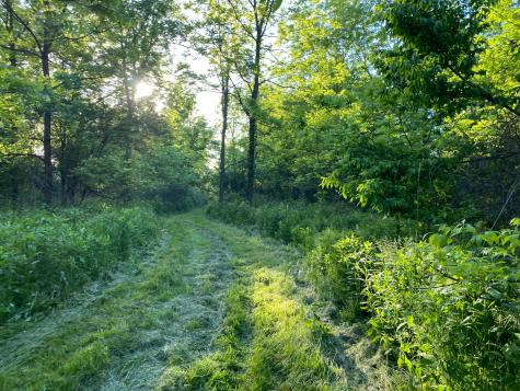6494 Martinsburg Road Mount Vernon OH 43050