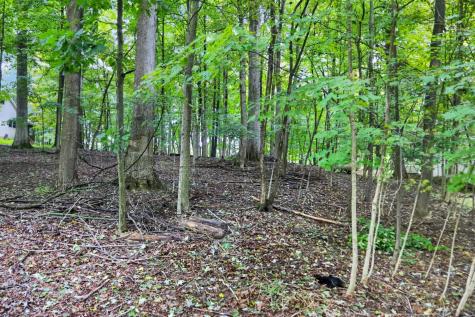 212 Northern Spy Drive Howard OH 43028