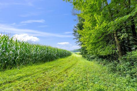 12627 Upper Gilchrist Road Mount Vernon OH 43050