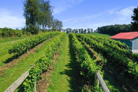 26367 Danville Amity Road Danville OH 43014