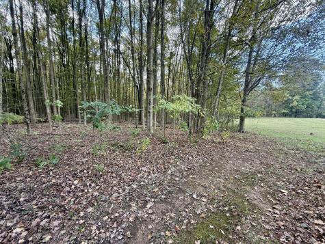 15596 Carson Road Mount Vernon OH 43050