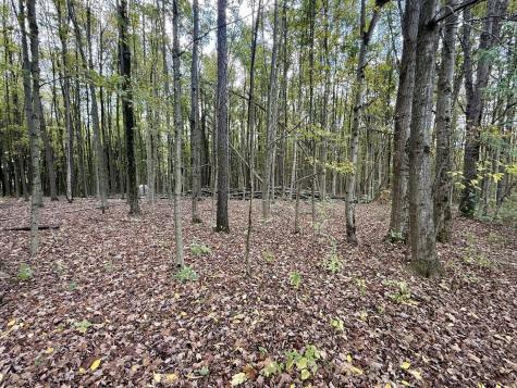 15596 Carson Road Mount Vernon OH 43050