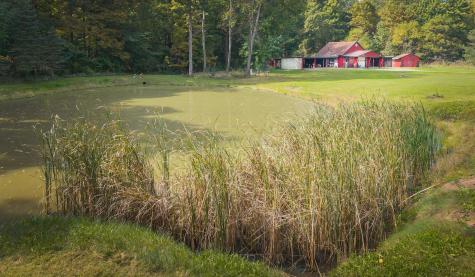 3999 Township Road 176 Fredericktown OH 43019