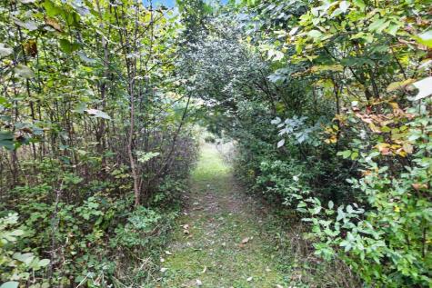 3999 Township Road 176 Fredericktown OH 43019