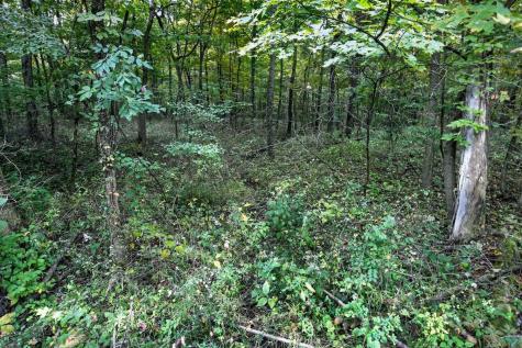 3999 Township Road 176 Fredericktown OH 43019