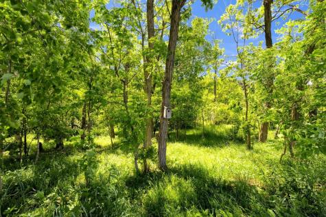 9309 Co Road 46 Galion OH 44833