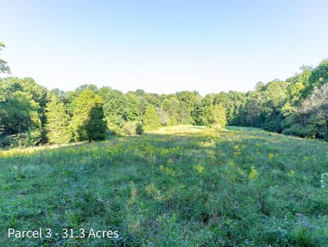 2886 Raysville Road Wellston OH 45692