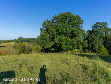 2886 Raysville Road Wellston OH 45692