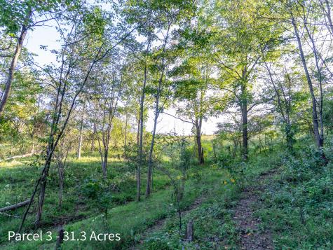 2886 Raysville Road Wellston OH 45692