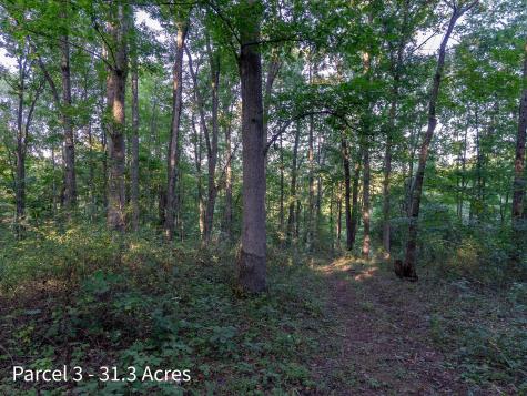 2886 Raysville Road Wellston OH 45692