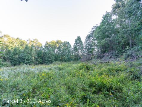 2886 Raysville Road Wellston OH 45692
