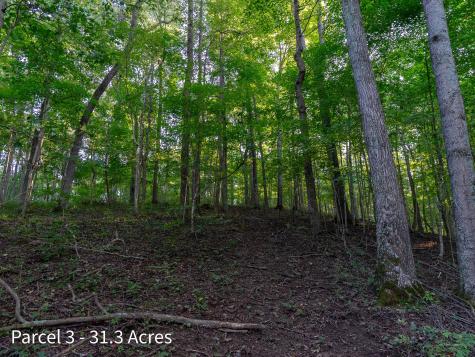 2886 Raysville Road Wellston OH 45692