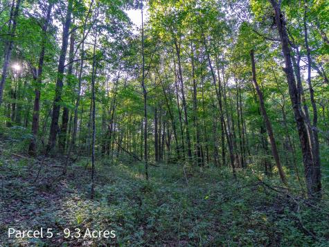 2886 Raysville Road Wellston OH 45692